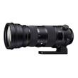 Sigma 150-600mm f/5-6.3 DG OS HSM S (Nikon Fit) Sigma 150-600mm f/5-6.3 DG OS HSM S (Nikon Fit)