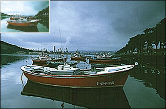 Deal Detail