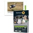 Permajet MattPlus 7x5 Paper - 100 sheets Permajet MattPlus 7x5 Paper - 100 sheets