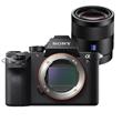 Sony Alpha a7R II Compact System Camera Body + 55mm f1.8 Lens Sony Alpha a7R II Compact System Camera Body + 55mm f1.8 Lens